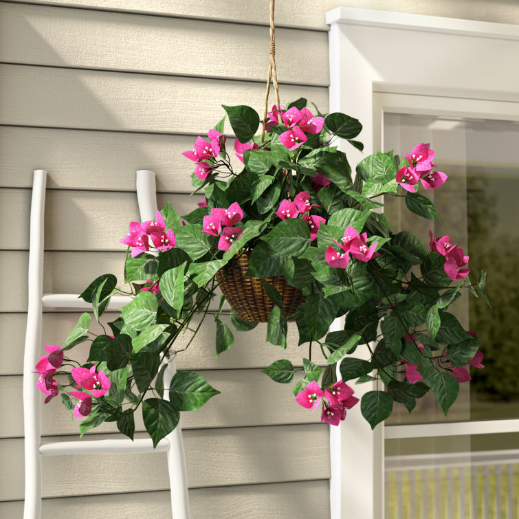 August Grove® Bougainvillea Hanging Basket & Reviews Wayfair